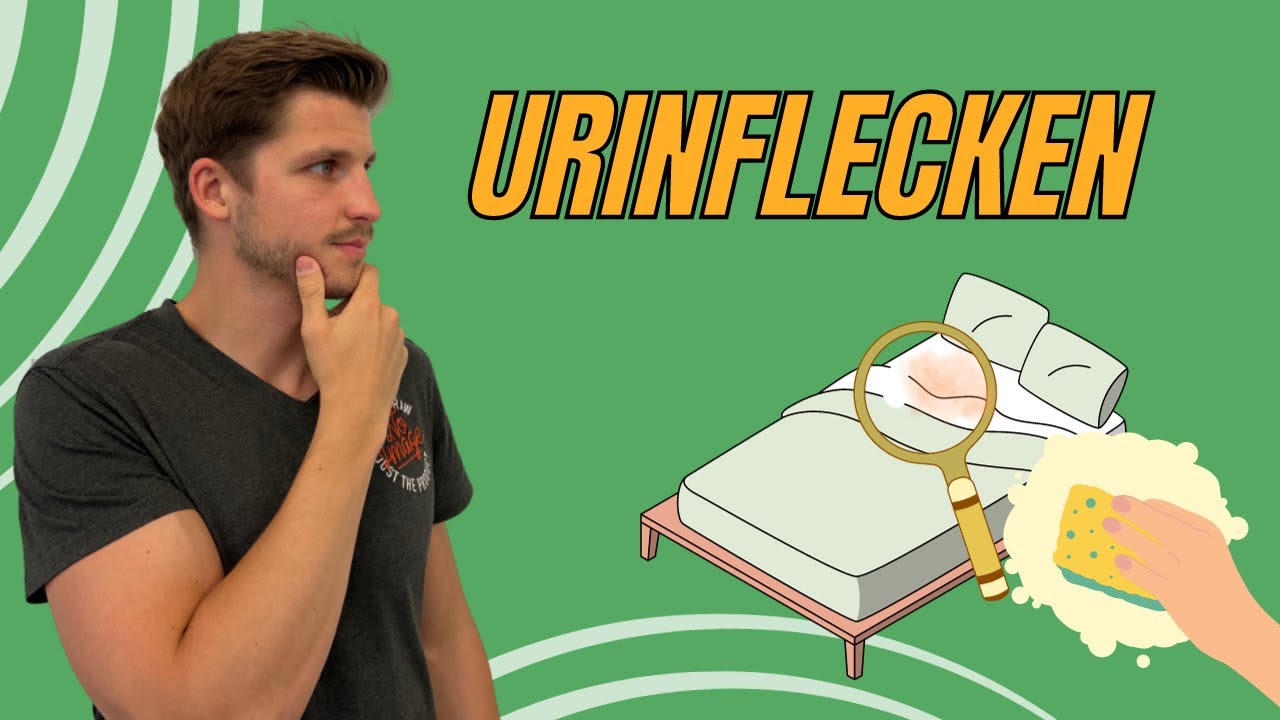 Wie Du am besten beim Matratze reinigen Urin entfernst YAK