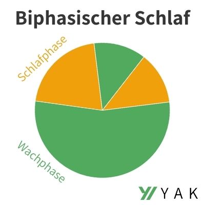 Biphasischer Schlaf Schlafphase Klassiker