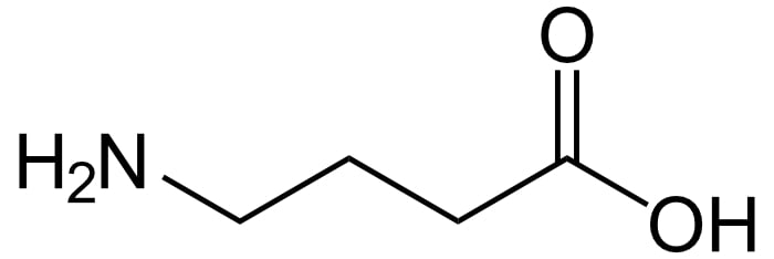 Gamma Aminobuttersäure Gamma Aminobutyric Acid