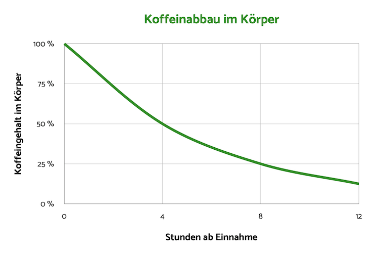 Koffeinabbau Körper