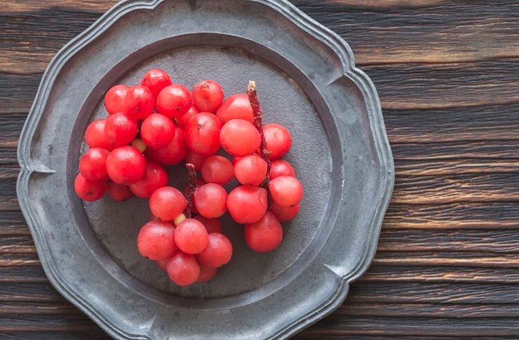 Schisandra Wirkung Beeren