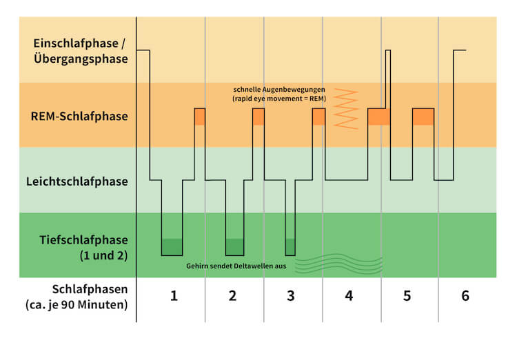 Schlafphase Mittagsschlaf Gesund