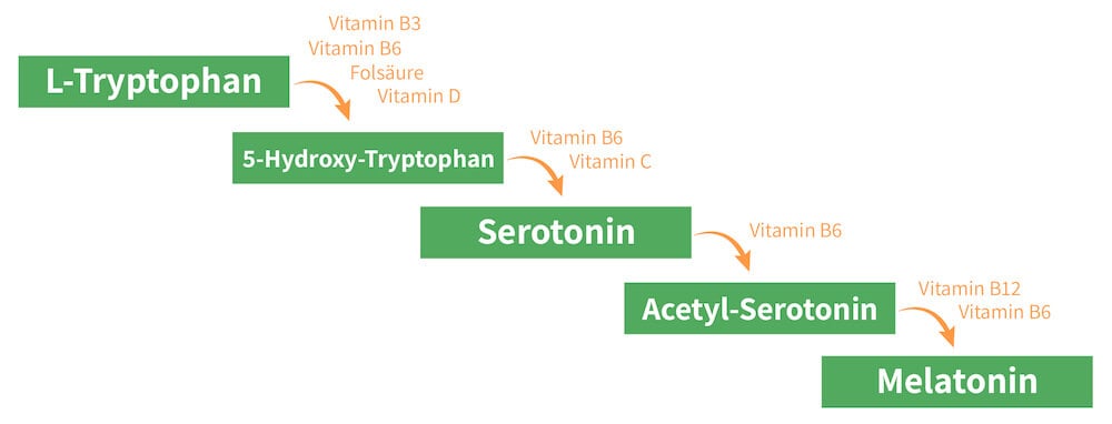 Serotonin Produktion