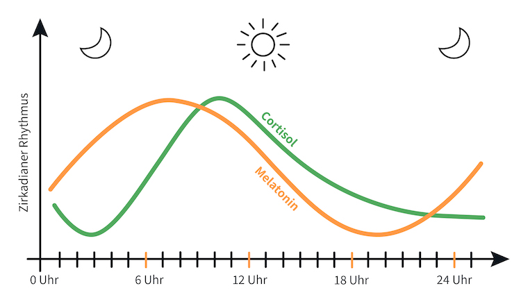 Sexsomnie Cortisol Melatonin