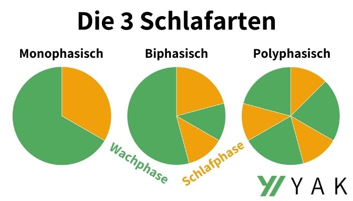 Unterschied Monophasisch Biphasisch Polyphasisch