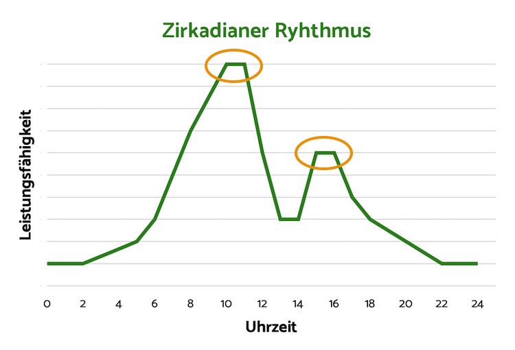Verstehe Zirkadianen Rhythmus um besser schlafen zu können