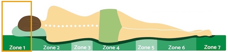 Zone 1 Kopf Nacken