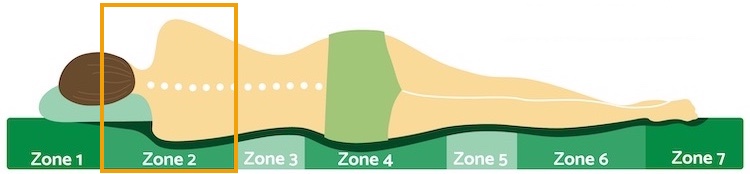 Zone 2 Schulter