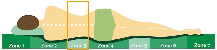 Zone 3 Lendenwirbel