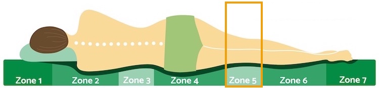 Zone 5 Bein