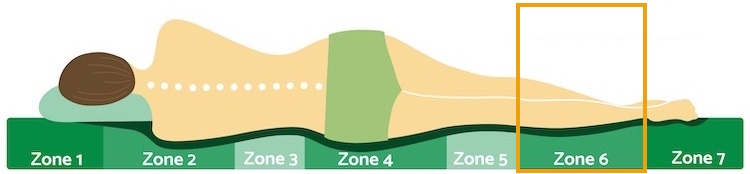 Zone 6 Waden