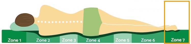 Zone 7 Fuß