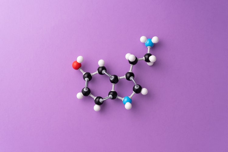 L Tryptophan Wirkung Serotonin